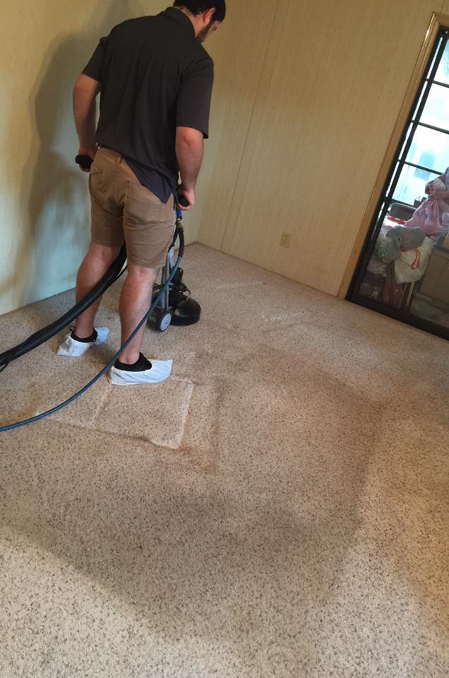 carpet cleaning Brandon